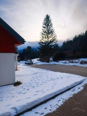 Apartament Górski Widok